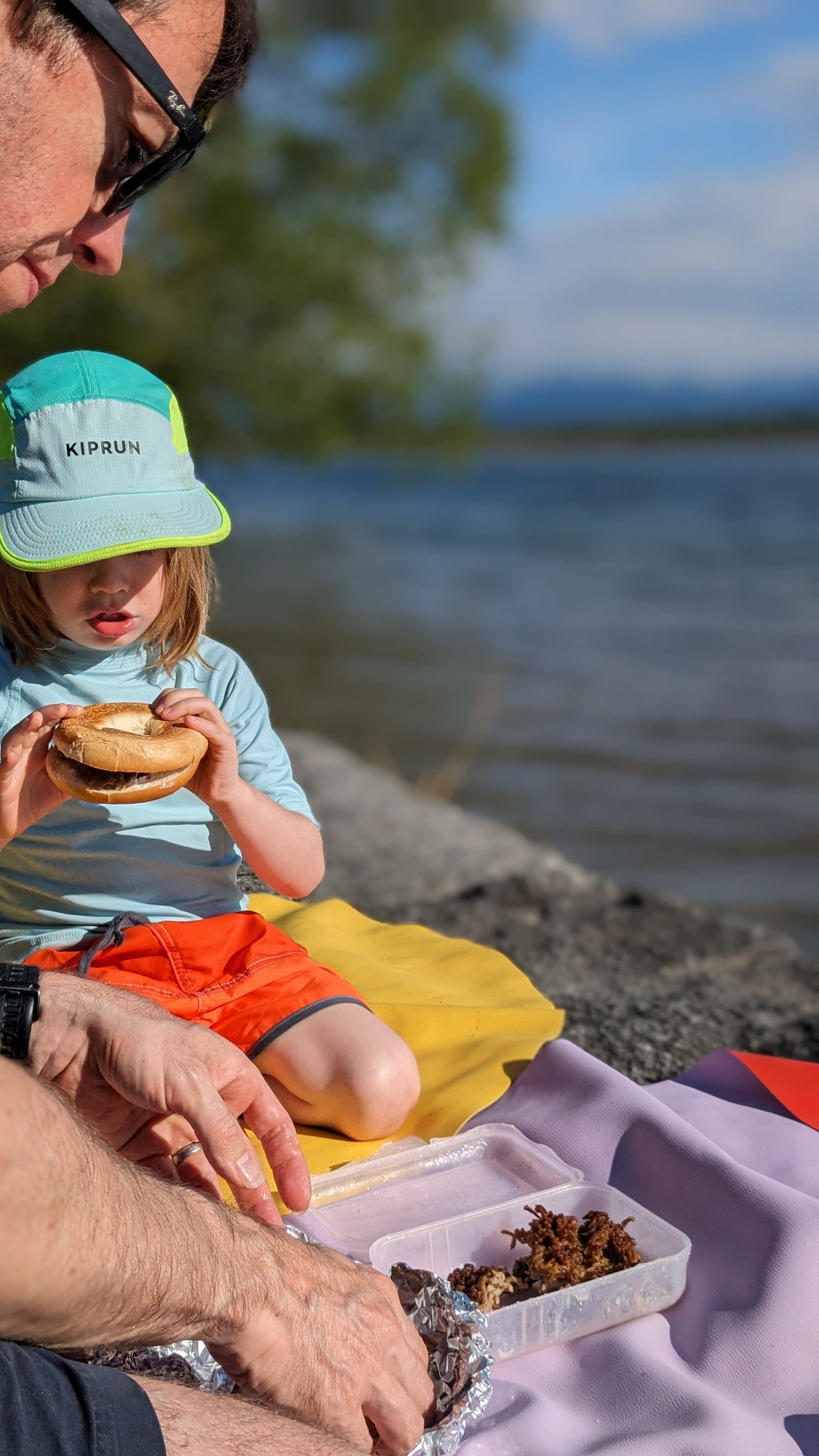Father and child having lakeside picnic on lavender and yellow Huske mats, Swiss lake