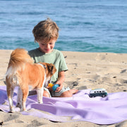 Gallivant XL Lilac/Red silicone family picnic mat, older boy sitting on lavender huske mat at the beach with family dog