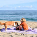 Picnic Mat | multi-functional, waterproof, vegan (GALLIVANT, XL), lilac/ red, 135 x 180 cm - studio huske - studio huske - studio huske - Picnic Blankets - SKU601