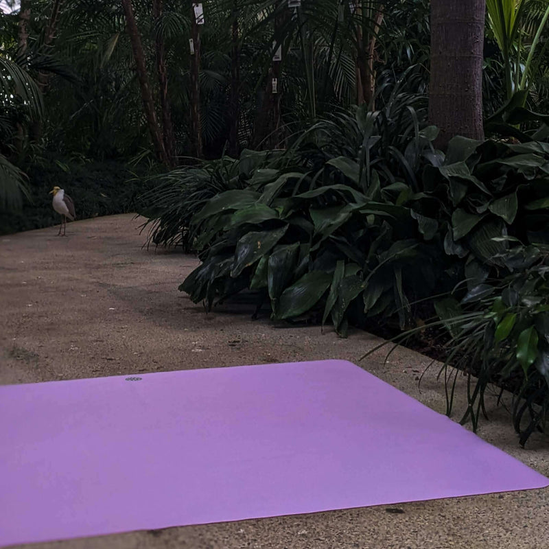 Waterproof square play mat for children, Roam Mat in a natural setting surrounded by greenery.